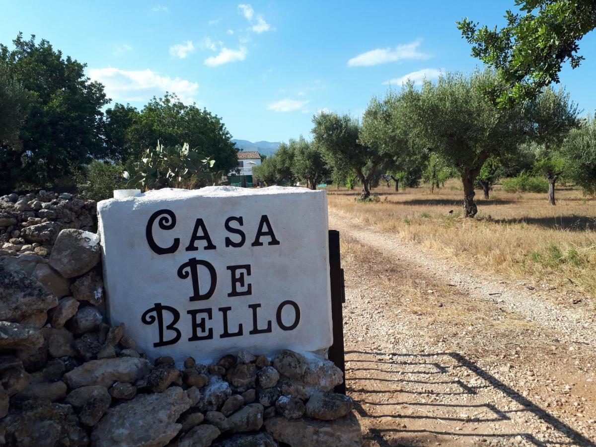Casa De Bello 토르토사 외부 사진